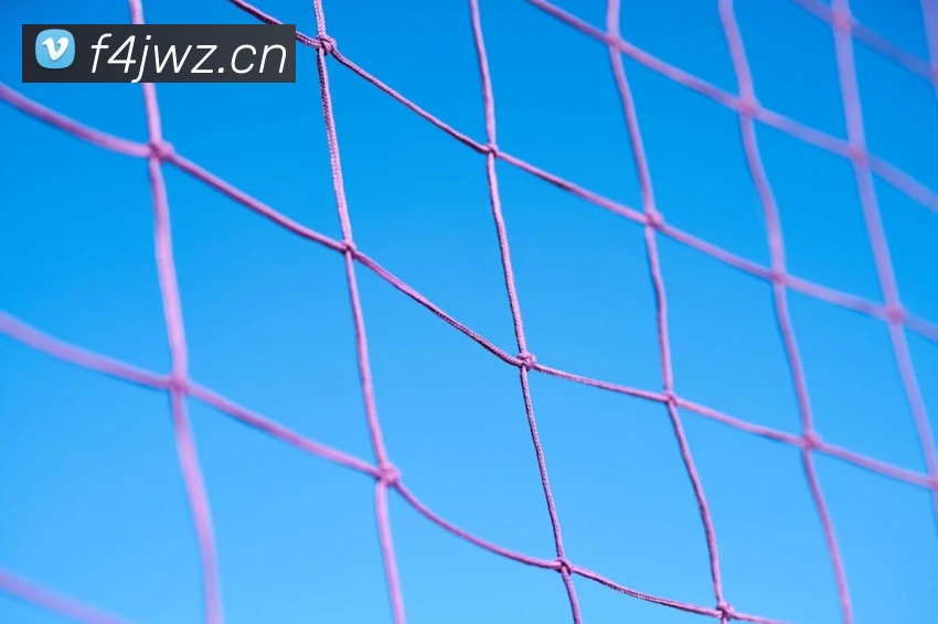 乐竞在线登录入口平台生态图